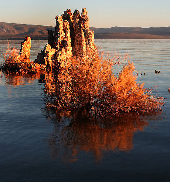 i-1ce6b7e6de134abbbc9561aded450eed-560px-Mono_lake_tufa_formation.jpg